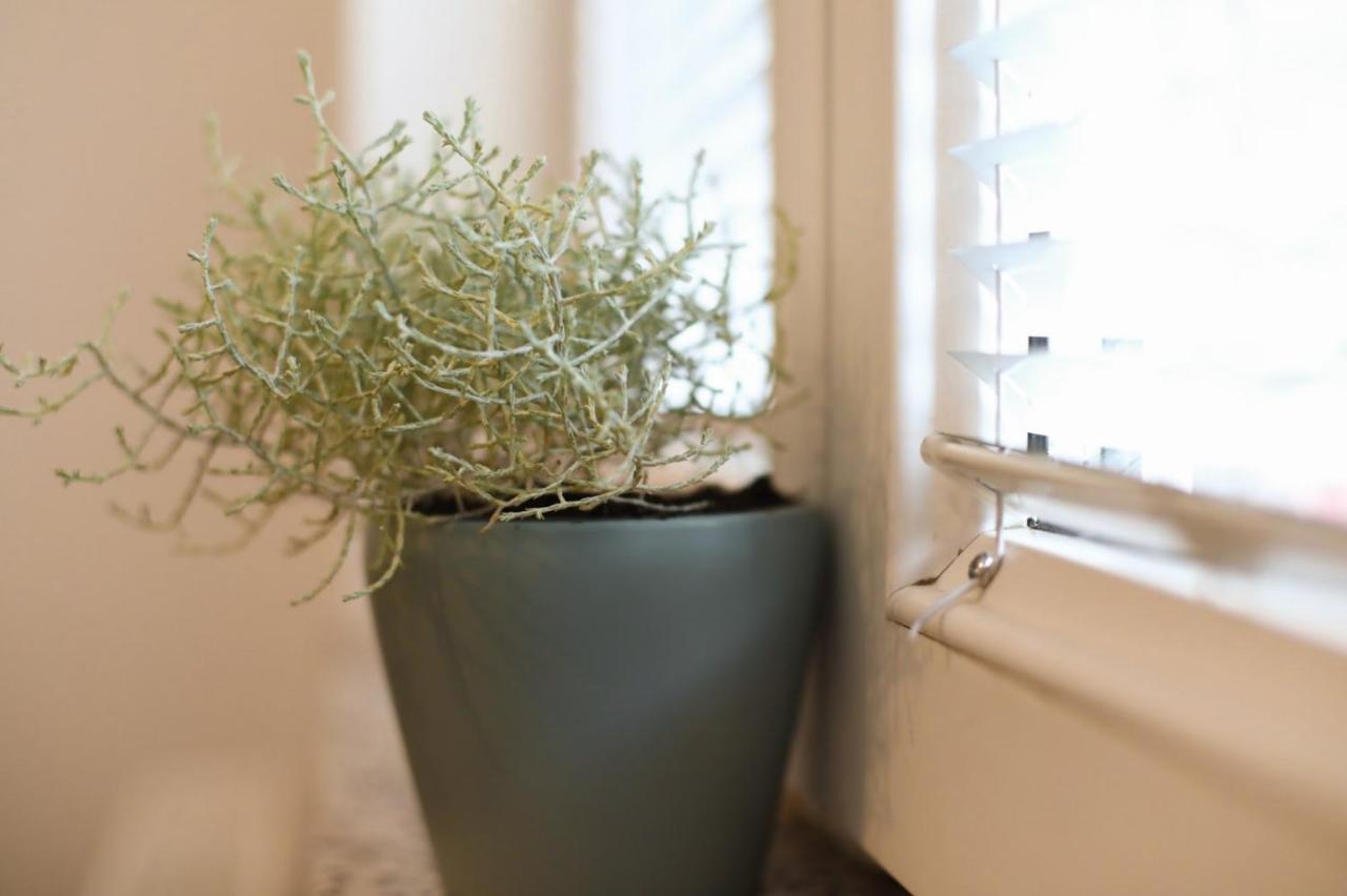Apartment Igor Lukavica المظهر الخارجي الصورة